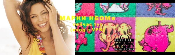сатива Абинск