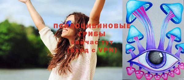 дурь Абаза