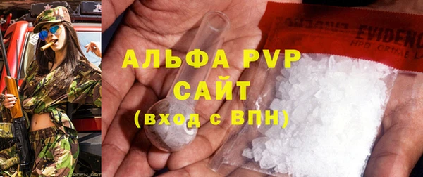сатива Абинск