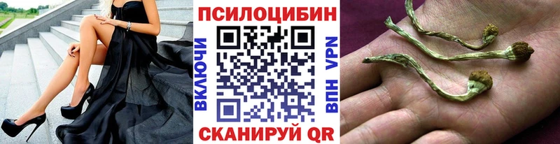 blacksprut маркетплейс закладка Фурманов Псилоцибиновые грибы GOLDEN TEACHER