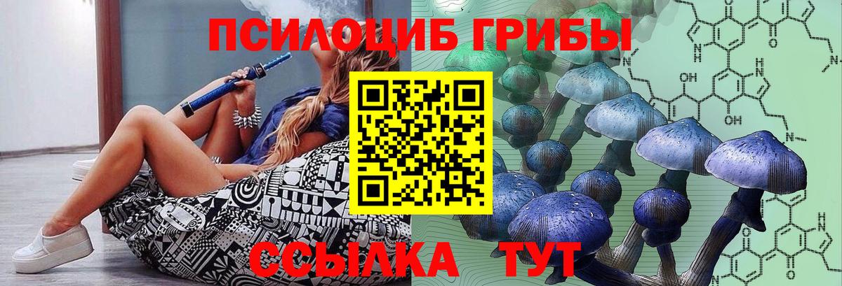 Фурманов  Псилоцибиновые грибы GOLDEN TEACHER  Псилоцибиновые грибы ЛСД  Вход с VPN 